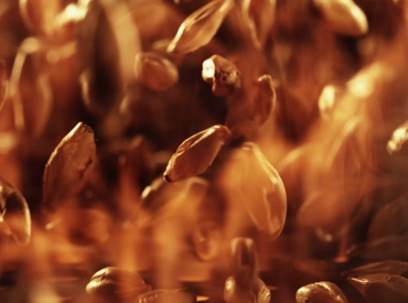Modelo_MakeItEspecial_Static Images_FireMalts.png